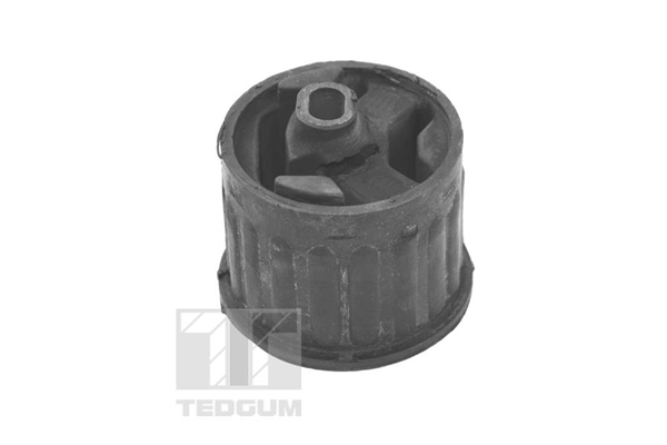 TEDGUM TED28389 Mounting, engine