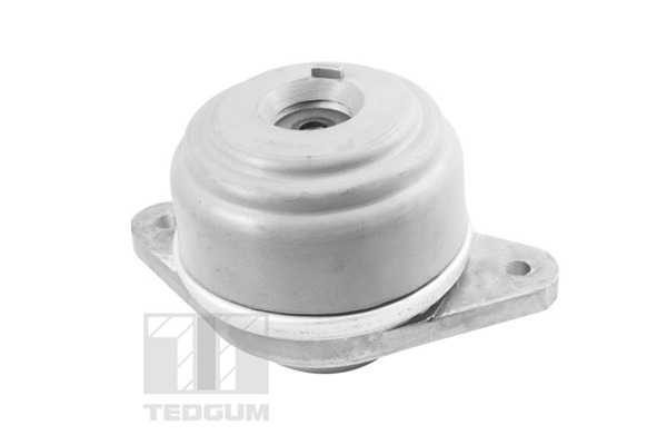 TEDGUM TED37501 Sospensione, Motore