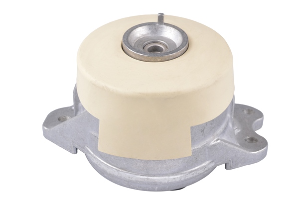 TEDGUM TED45256 Mounting, engine