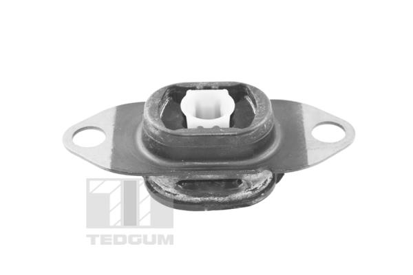 TEDGUM TED46913...