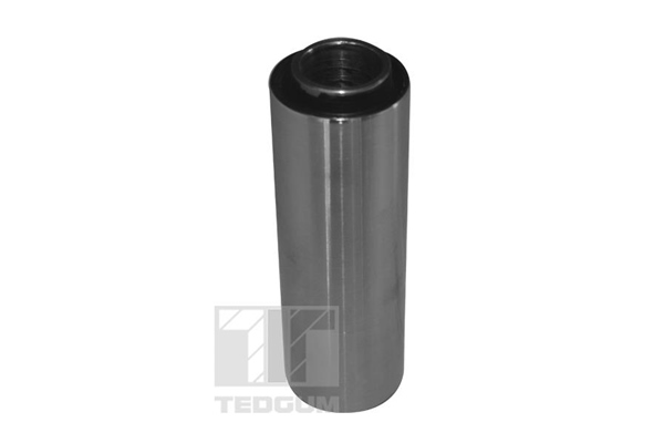 TEDGUM TED48927 Mounting, differential