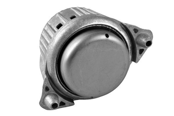 TEDGUM TED53841 Mounting, engine