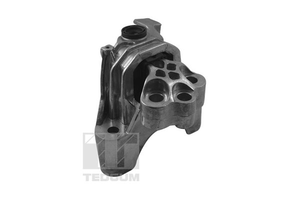 TEDGUM TED57083 Mounting, engine