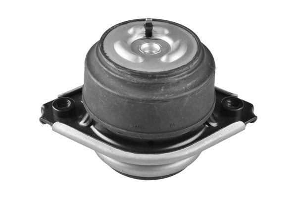 TEDGUM TED57243 Mounting, engine