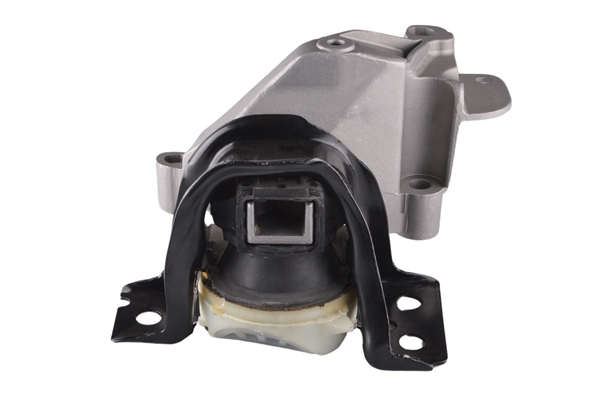 TEDGUM TED60891 Mounting, engine