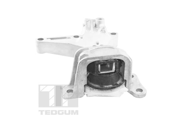 TEDGUM TED61737 Sospensione, Motore