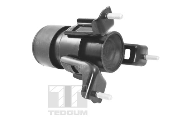 TEDGUM TED62860 Sospensione, Motore