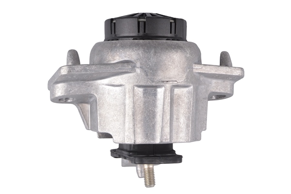 TEDGUM TED69852 Mounting, engine