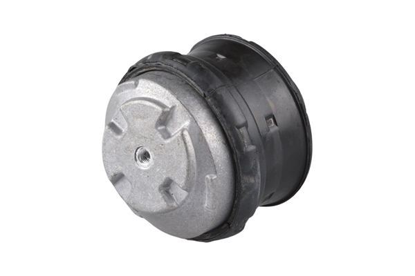 TEDGUM TED72237 Mounting, engine