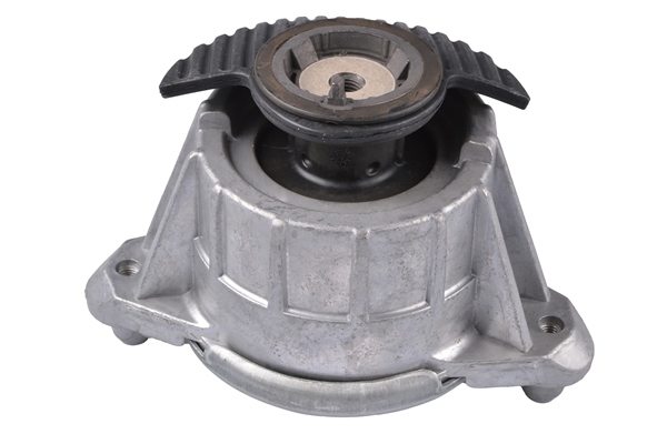 TEDGUM TED74146 Mounting, engine
