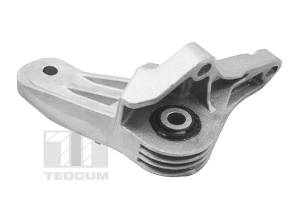 TEDGUM TED74540 Mounting, engine
