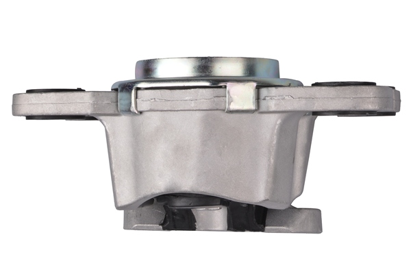 TEDGUM TED74664 Uloženie, motor