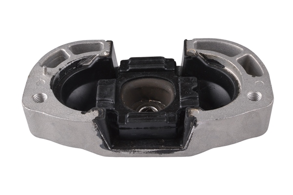 TEDGUM TED77910 Mounting, engine