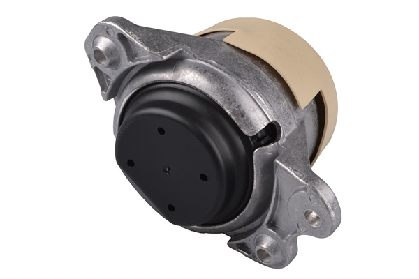 TEDGUM TED87817 Mounting, engine