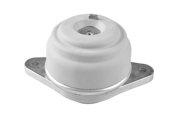 TEDGUM TED89601 Mounting, engine