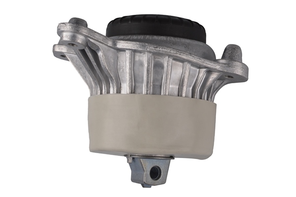 TEDGUM TED92540 Mounting, engine