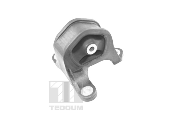 TEDGUM TED95218 Mounting, engine