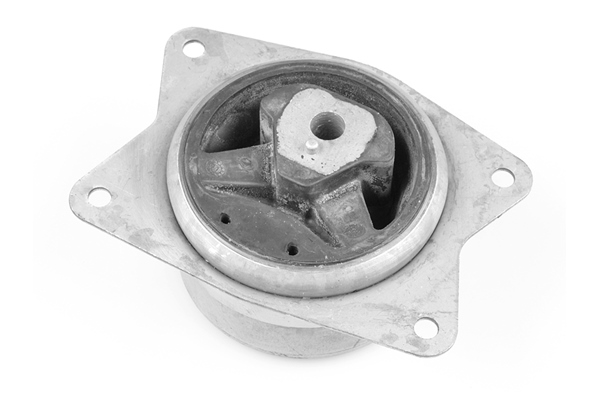 TEDGUM TED95962 Mounting, engine
