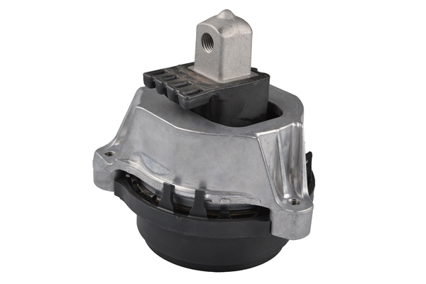 TEDGUM TED96548 Mounting, engine