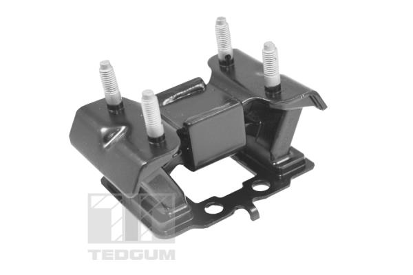 TEDGUM TED99751 Mounting, engine