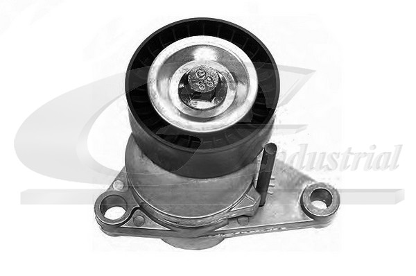 3RG 13201 Tensioner Lever,...