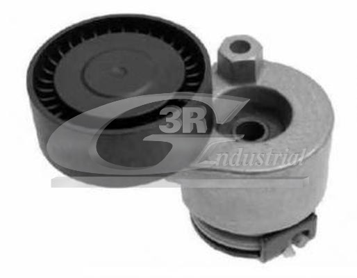 3RG 13650 Tensioner Lever,...