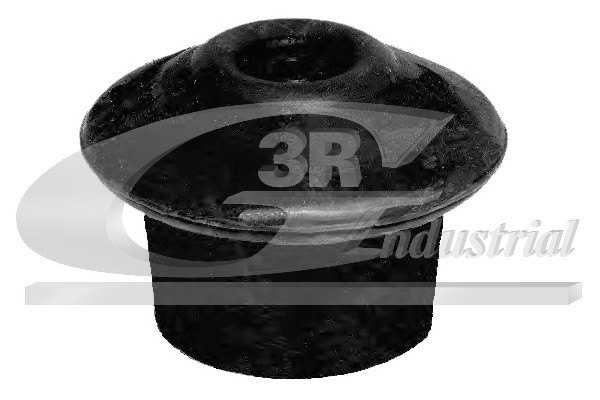 3RG 40703 Mounting, engine