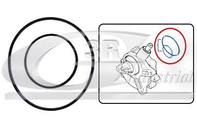 3RG 74100 Packning, vakuumpump