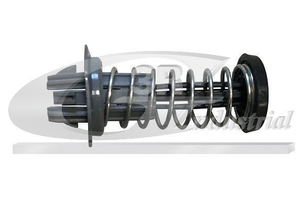 3RG 80587 Gas Spring, bonnet