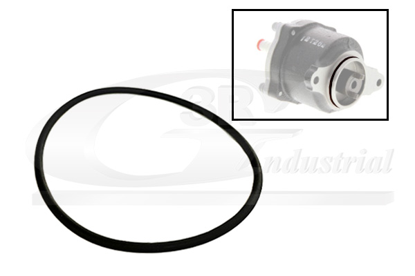 3RG 81091 Packning, vakuumpump