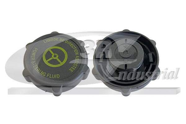 3RG 81318 Seal Ring, power...