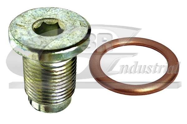 3RG 83528 Repair Kit, oil...