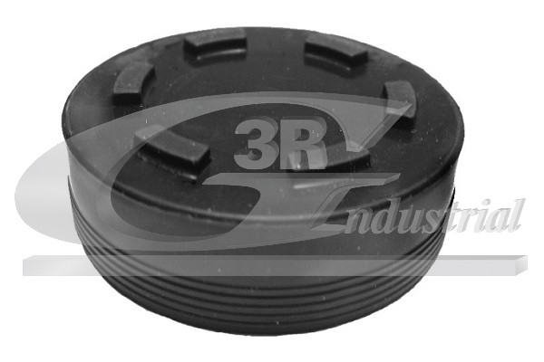 3RG 84700 Plug, rocker arm...