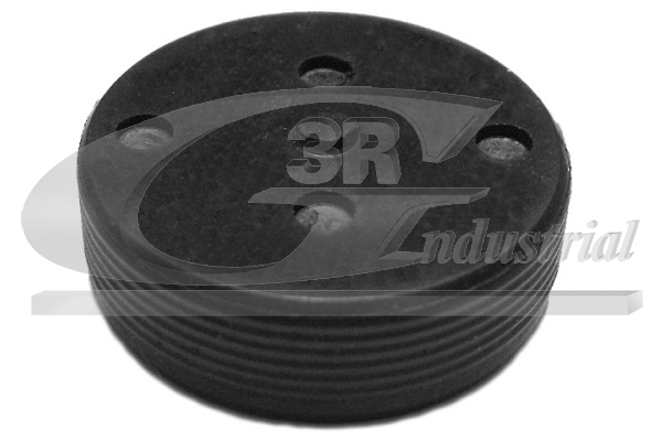 3RG 84701 Plug, rocker arm...