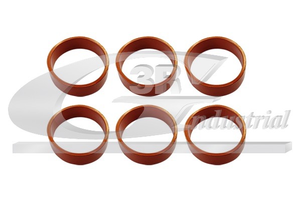 3RG 85103 Packningssats, insugsgrenrör