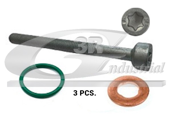 3RG 99501 Screw, injection...