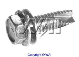 WAI 84-1207 Screw