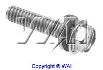 WAI 84-1208 Screw