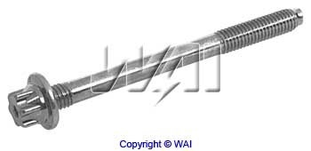 WAI 84-1361 Screw