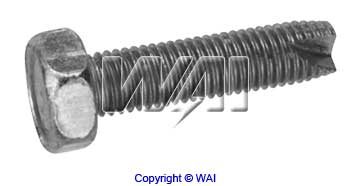 WAI 84-1419 Screw