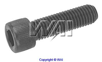 WAI 84-1420 Screw