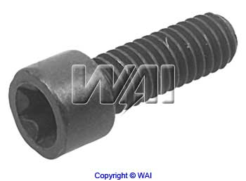 WAI 84-1435 Screw