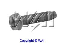 WAI 85-1208 Screw