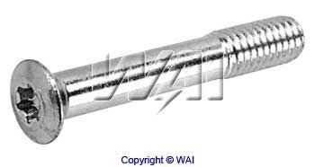WAI 85-1319 Screw