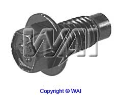 WAI 85-1320-1 Screw