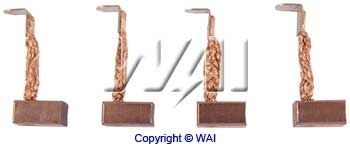 WAI BSX146 Carbon Brush,...