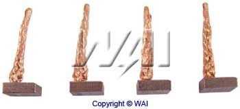 WAI JASX100 Carbon Brush,...