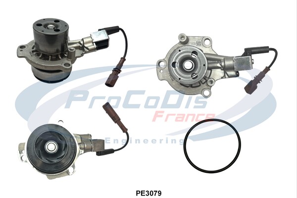 PROCODIS FRANCE PE3079...