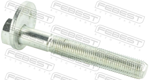 FEBEST 2529-001 Camber...