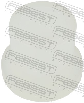 FEBEST NSB-F24MR...